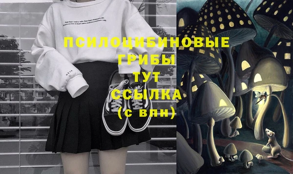 не бодяженный Алексин