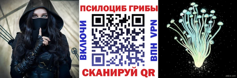 Купить закладки Магнитогорск Псилоцибиновые грибы Cubensis